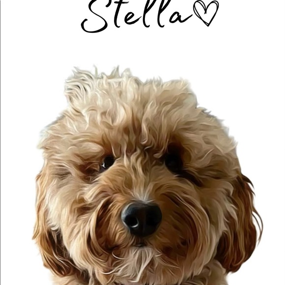 Digital Pet Portraits!! - Picture 6 of 7